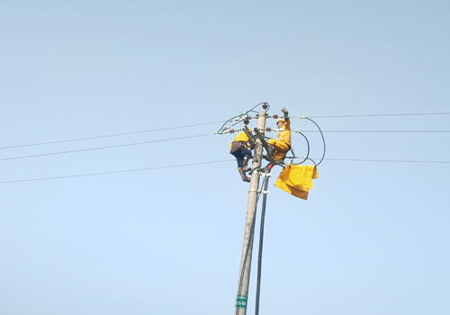濟南至高清高速公路工程電力設施遷改工程——不停電作業項目：帶電拆火現場